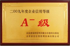 企业荣誉